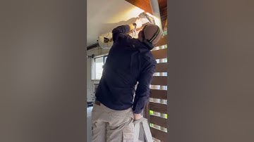 Queensland Snake Catcher Removes Two Carpet Pythons From Ceiling