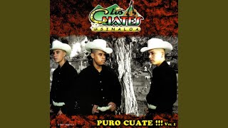Video thumbnail of "Los Cuates de Sinaloa - Flor Hermosa"