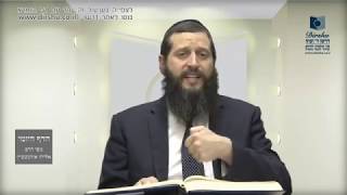 הדף היומי מסכת בכורות דף מז