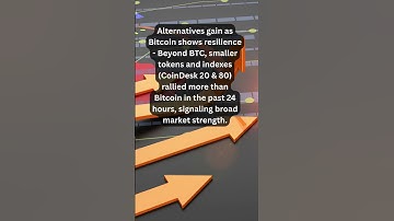 Alternatives gain as Bitcoin shows resilience