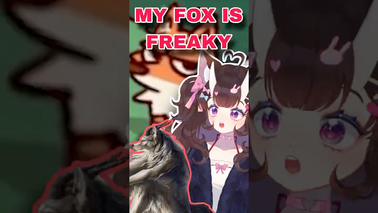 CHITZEE'S FOX SAID WHAT??