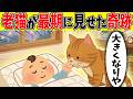 【涙腺崩壊】寝たきりの老猫。最期に力を振り絞り、生まれたばかりの赤ちゃんに見せた「別れの挨拶」【ほのぼの】