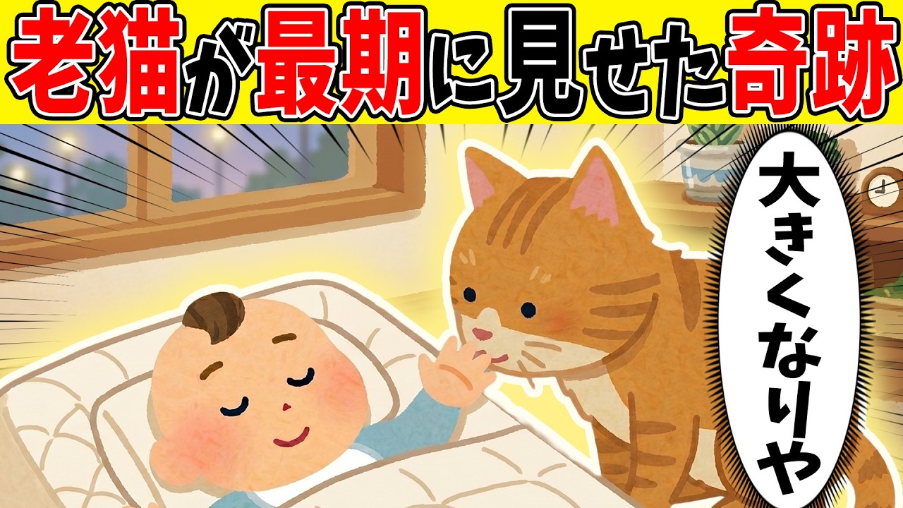 【涙腺崩壊】寝たきりの老猫。最期に力を振り絞り、生まれたばかりの赤ちゃんに見せた「別れの挨拶」【ほのぼの】