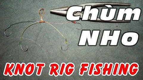 TÓM CHÙM NHO 2 NHÁNH - CÁCH BUỘC THẺO CÂU CÁ 4 LƯỠI CÂU