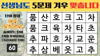 선생님도 5문제 겨우 맞춥니다[ 숨은단어찾기, 치매예방퀴즈 , 낱말퀴즈, 낱말찾기, 단어퀴즈]