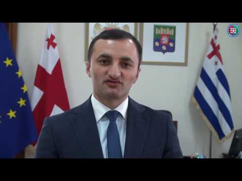 დავით გაბაიძე ჩეხეთის ელჩს შეხვდა