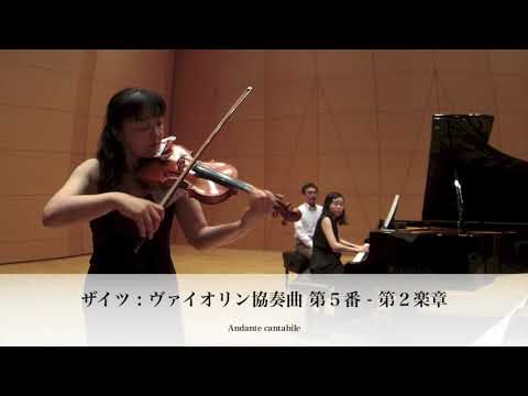 Friedrich Seitz Complete Pupil S Concertos Nos.1-5 Vln
