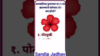 Marathi Gk shorts #sandipjadhav #educationvlogs #gkquestions #shorts #short