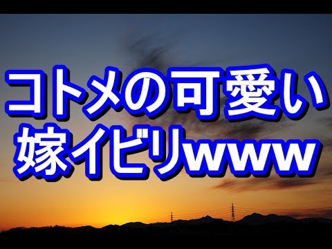 【ほっこり】超真面目なコトメが私に嫁イビリを試みるのだが、することが全部可愛すぎるwww　姑　ヨメトメch