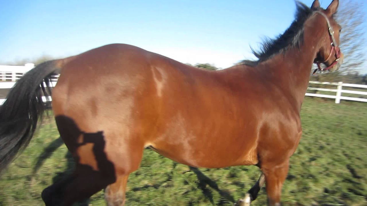 SENSES AWAKENED IN PHARAOH!  FRESH AIR IS HEALTHY! SO IS EXERCISE!