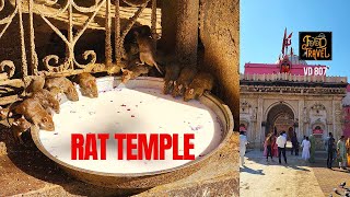 എലികൾക്ക് ഒരു അമ്പലം | Rat Temple in India | 100 thousand rats live in Karni Mata Temple Rajasthan