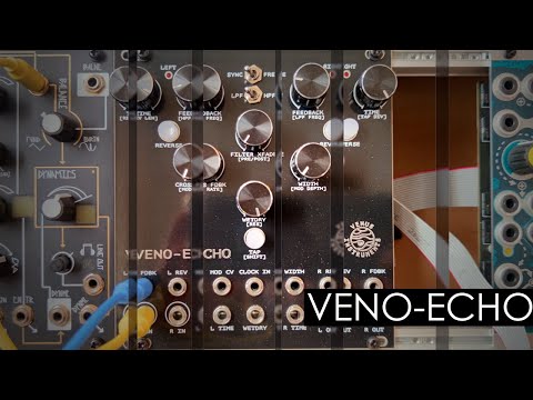 Venus Instruments Veno-Echo - review and DIY tutorial