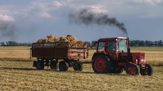 DDR Heu Ernte mit Belarus MTZ 82 & Fortschritt K454 + W50 & ZT 323