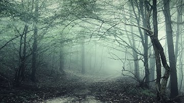 سورة الناس للشيخ خالد الجليل تلاوة خاشعة