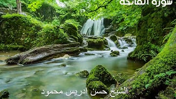 سورة الفاتحة |بصوت الشيخ/حسن إدريس محمود | تلاوة سودانية عطرة وهادئة