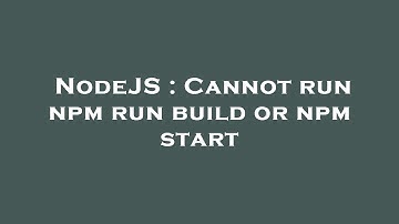 NodeJS : Cannot run npm run build or npm start