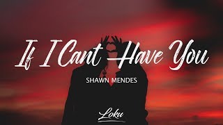 Shawn Mendes - If I Can't Have You (Lyrics) chords