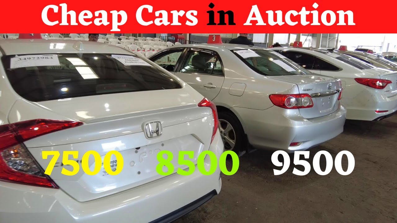 Buying Cheapest Car From Auction In Dubai | Marhaba Car Auction Sharjah