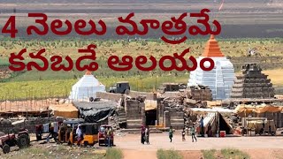 sangameswaram #సంగమేశ్వర స్వామీ ఆలయ దర్శనం#viral #all #youtube#temple