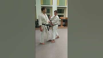 Nijushiho kata effective bunkai nr. 6 - Tekubi Kake uke/Teisho Awase #shorts