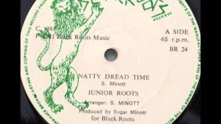 Reggae  403  Junior Roots  Natty Dread Time blackroots