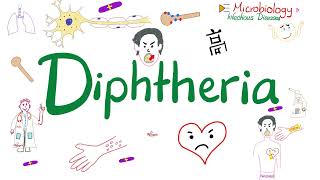 Diphtheria (Pseudomembranous pharyngitis, Myocarditis, Neuropathy) | Microbiology