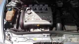 MVI 0194