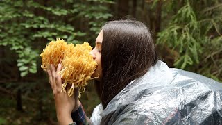 Picking wild mushrooms | Perfect survival shelter in a cave | Bushcraft solo camping | ASMR