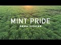 「MINT PRIDE ～120年持續開創的意義～」篇／265秒／獅王