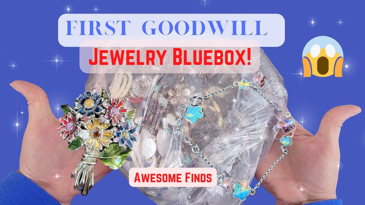 Very FIRST Goodwill Bluebox Jewelry Unboxing, My Honest Opinion