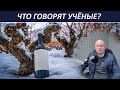 Майские морозы ударили по винограду. Каковы потери? // Что говорят учёные?