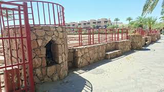 20260424 Aqaba Weg vom Bus zum Hotel Afnan