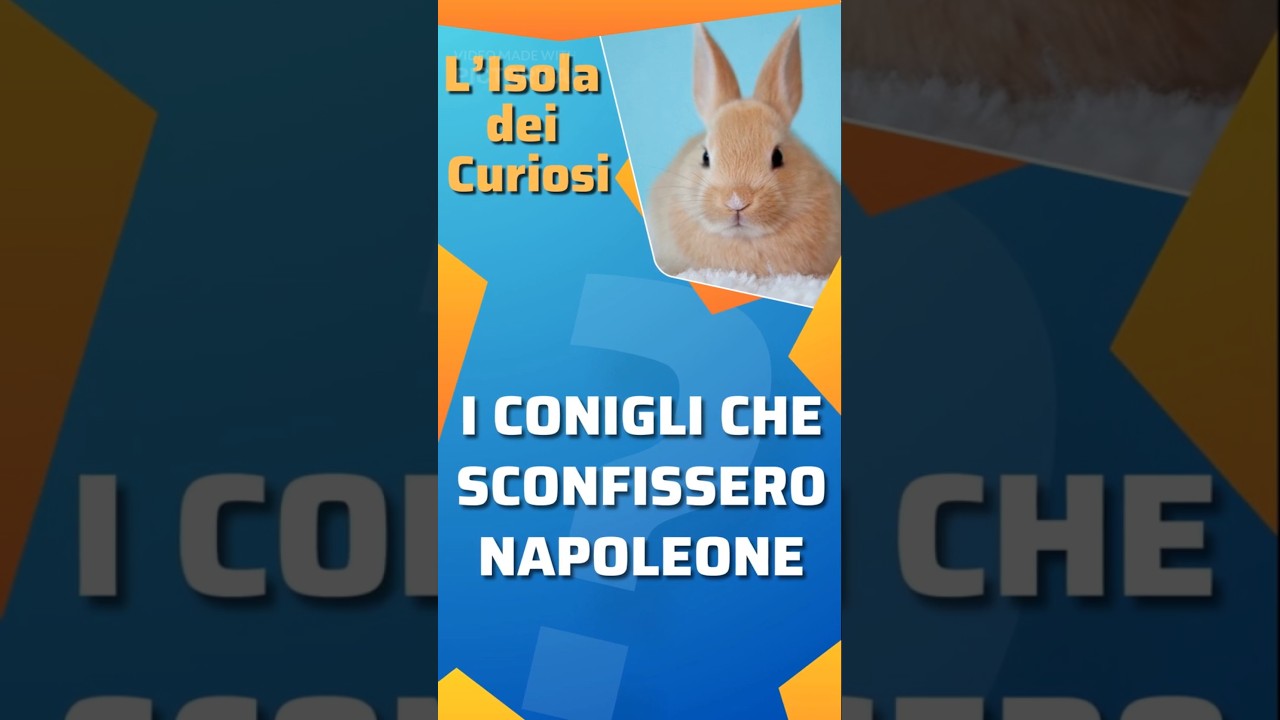 I conigli che sconfissero Napoleone - L'isola dei curiosi