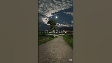 تلاوة خاشعة للقرآن للقارئ عبد الباسط عبد الصمد #عبدالباسط_عبدالصمد #قرآن