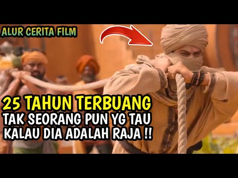 Video: 5 Kisah Pengangkatan Binatang Paling Popular pada tahun 2016