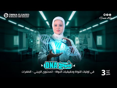 شرح  في اوليات النواة وحقيقيات النواة تركيب المحتوى الجيني الطفرات 2025