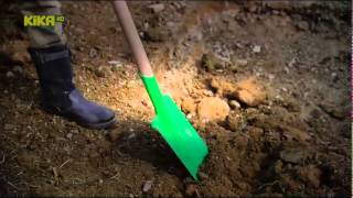 Schloss Einstein Folge 774   Ganze Folgen!