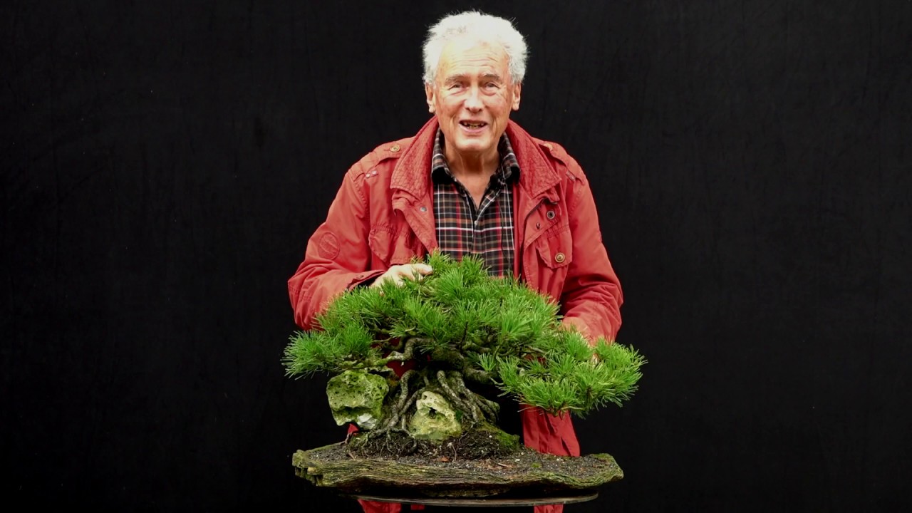 SandevBonsai - 2018. Bonsai sessions with Walter Pall/Part 3