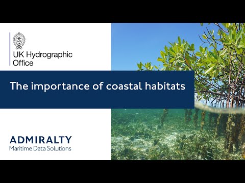 The importance of coastal habitats | UKHO