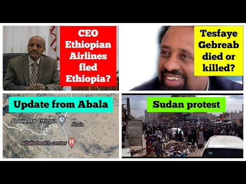 Tesfaye Gebreab | CEO Ethiopian Airlines | Abala Afar Tigray | Sudan