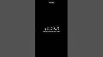 السابقون الاولون من المهاجرين و الانصار | كرومات شاشة سوداء القران كريم | القارئ عبدالله خلف