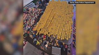 Man charged in LEGO theft ring