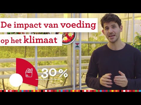 Video: Wanneer om varings vir voedsel in 2020 te versamel en in watter streke