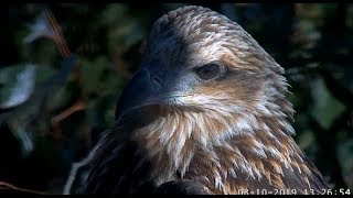 Wbse Se23 Gorgeous Horaltic Pose & Closeups