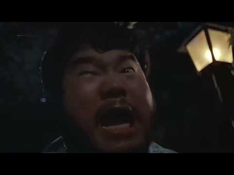 二十多岁的钟楚红，真是美得一塌糊涂 推荐电影 钟楚红 曾志伟 吴耀汉
