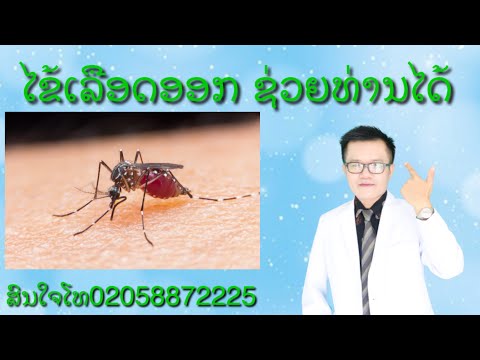 ໄຂ້ເລືອດອອກ