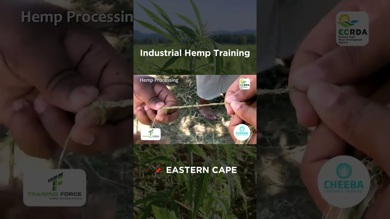 Industrial Hemp Training | Eastern Cape 🌱