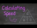 Understanding Speed and Velocity