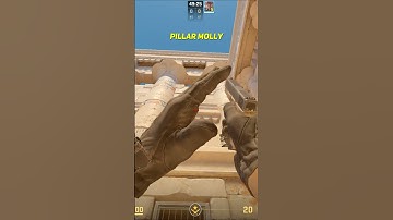 Pillar Molly On Anubis CS2 #shorts