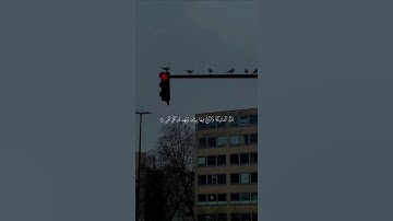 ياسر الدوسري | قرآن كريم راحة نفسية #ياسر_الدوسري